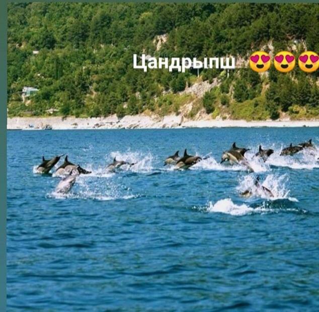 Готель Уют Цандрипш Екстер'єр фото